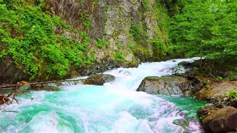 Beautiful Raging River Sounds Rushing Water Ambience 10 Hour Nature