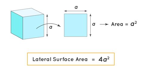 Cube Surface Area Calculator Healthy Food Near Me