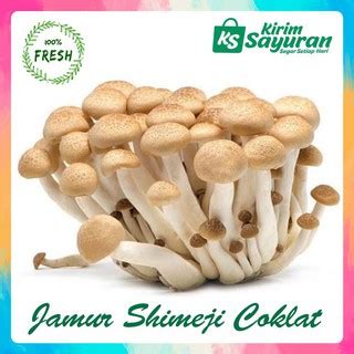 Jual JAMUR SHIMEJI COKLAT WHITE BROWN SEGAR FRESH PACK Shopee