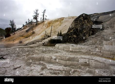 Mammoth Hot Springs Yellowstone National Park USA Stock Photo Alamy