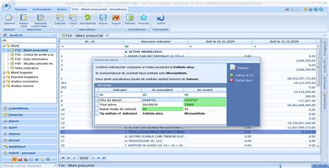 Nexus Analist Automatizare proces de încadrare tip entitate în modulul