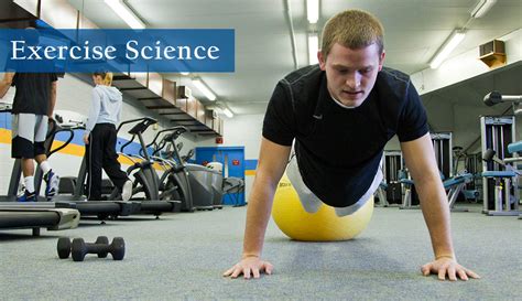 Schools That Offer Exercise Science Degrees Online Degrees