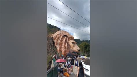 Lion Head Kenon Road Tuba Benguet Youtube