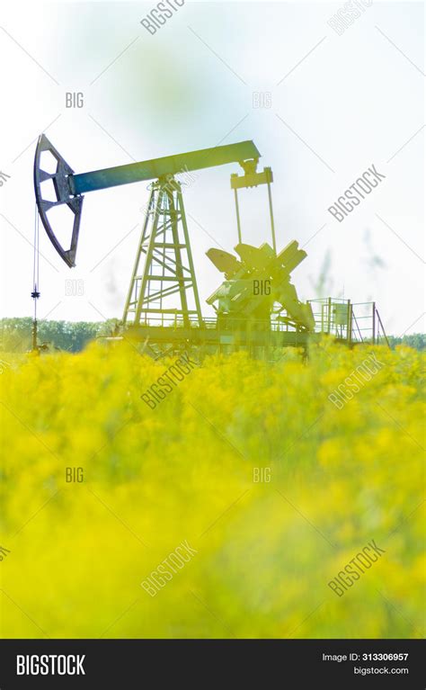 Oil Pump Pump Image & Photo (Free Trial) | Bigstock