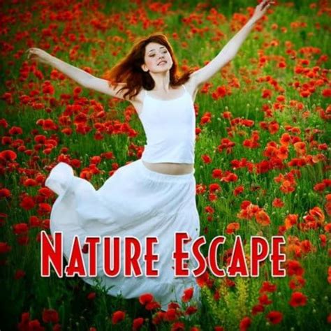 Amazon Music Meditation Spa Nature Escape Music And Nature Sounds