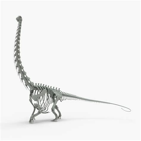 Argentinosaurus Rigged Skeleton 3D Model | Creature Guard