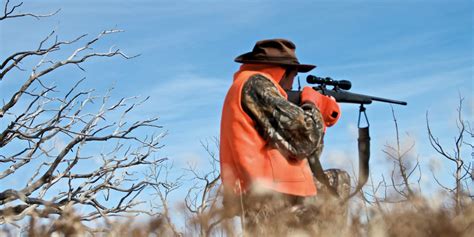 Colorado Hunting Seasons For Small Game Big Game Waterfowl And More