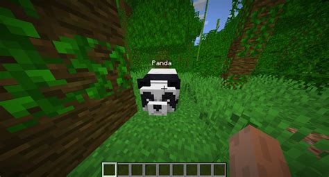 How To Tame A Panda In Minecraft Kodeclik Online Academy