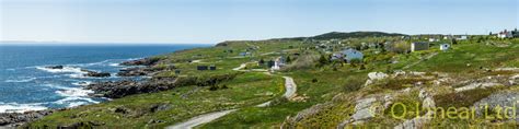 Lower Island Cove 8×32 Newfoundland Panoramas