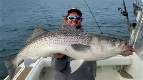 Catching A GIANT 55 5 STRIPED BASS Slow Trolling Live Eels In The