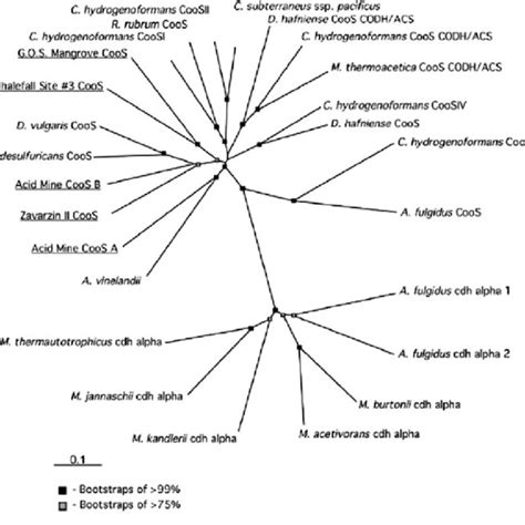 4 Co Metabolism Of Methanogenic Archaeon Methanosarcina Barkeri Download Scientific Diagram