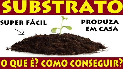 Aprenda A Produzir Seu Pr Prio Substrato Em Casa F Cil Suas Plantas