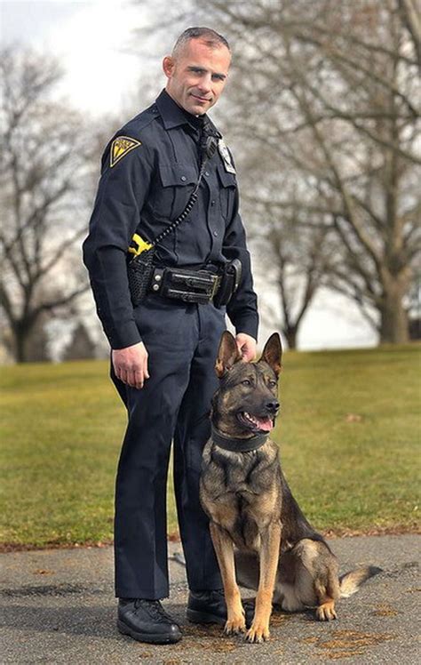 How Do Police Dogs Train Their Career