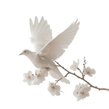 Peace Please Flying White Dove With Branch Flower Peace Purity