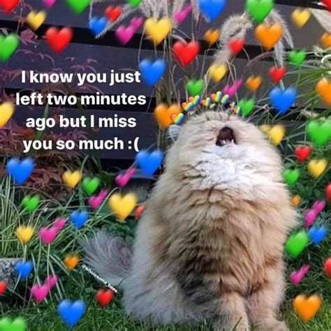 Pin By Erin👻 On Memesssss I Miss You Cute Cute Love Memes Cute Memes