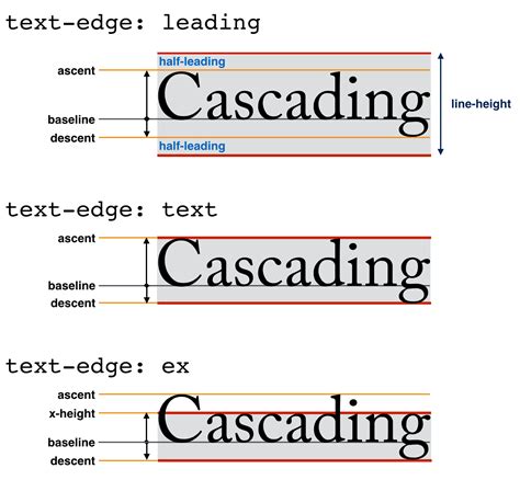 Line Spacing Typography