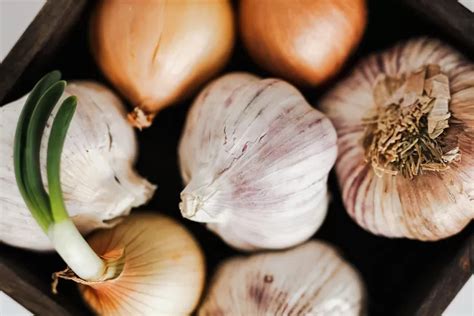 Bikin Penasaran Beberapa Manfaat Dan Keistimewaan Bawang Putih Di