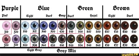 Eye Color Chart 1998 Fix And Revamped Brown Darf Gs Ii Green Darf