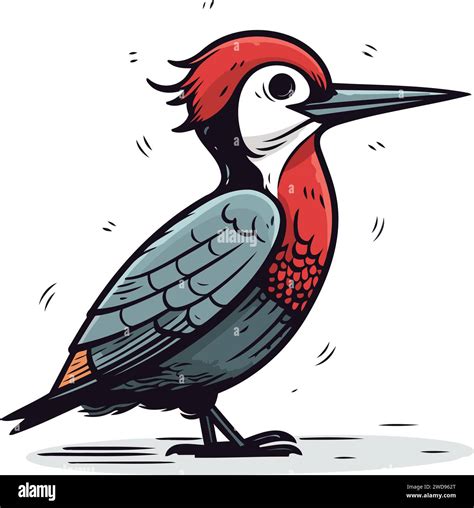 Woodpecker Vector Illustration Isolated On White Background Woodpecker In Cartoon Style Stock