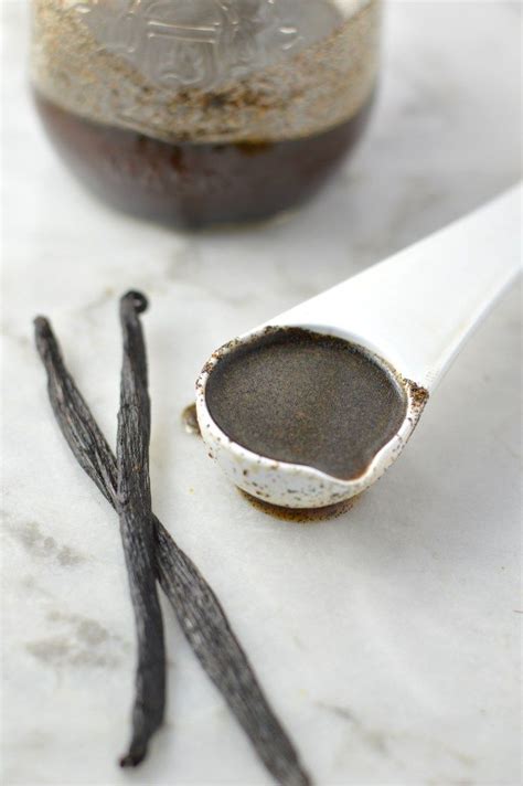 Best Vanilla Bean Paste Recipe Kif Profile Photo Gallery