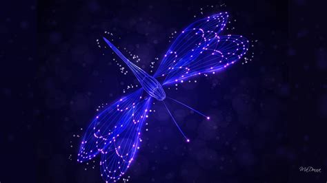 Free Dragonfly Wallpapers - Wallpaper Cave