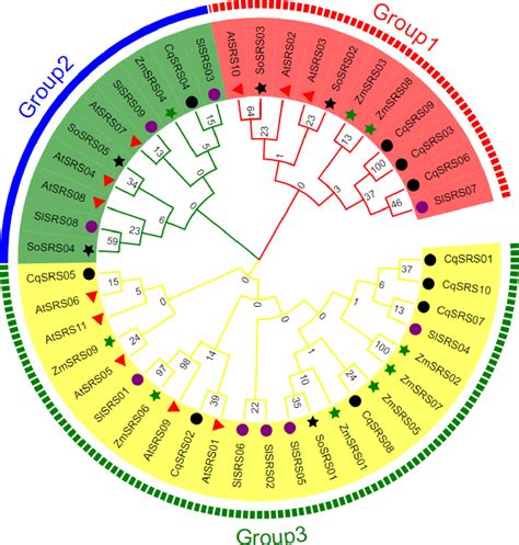 Figure 1 From Genome Wide Identification Structural Analysis And