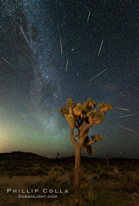 Perseid Meteor Shower Over Joshua Tree National Park August 2015