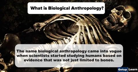 What Is Biological Anthropology Fields Of Study History