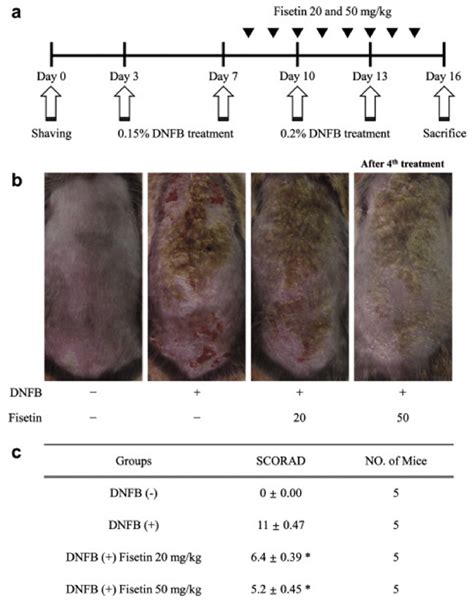 The Anti AD Efficacy Of Fisetin On DNFB Induced AD Like Skin Lesions