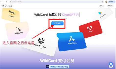 Fomepay 跑路，维权指南以及 Chatgpt 虚拟卡订阅替代方案！ Chatgpt 中文导航网