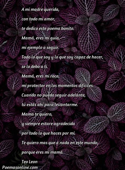 Cinco Mejores Poemas Bonito para Mamá Poemas Online