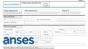 Anses Progresar Y A Os Inscripcion Llenar Formulario Respuestas