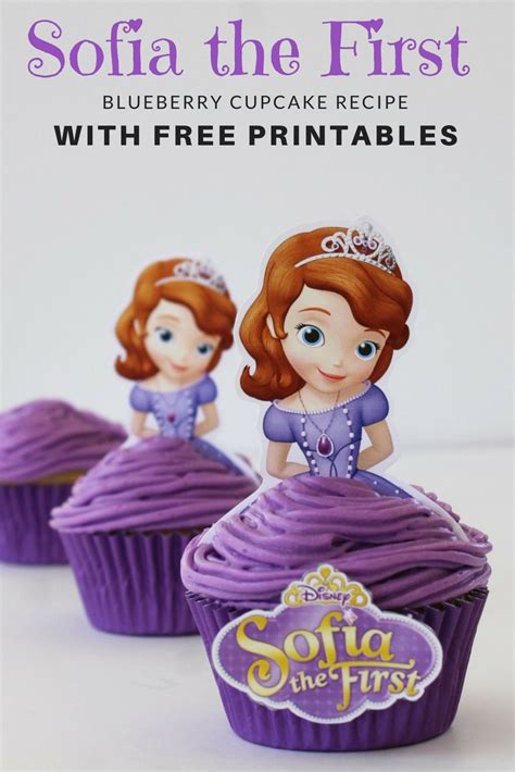 Princess Sofia The First Party Decorations Shelly Lighting