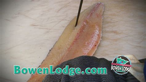 Fishing Tips Removing Y Bones From Northern Pike With Jeff Skelly