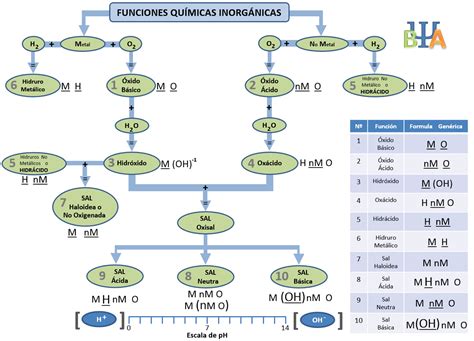 Ideas Para Mi Mundo Funciones Químicas Inorgánicas