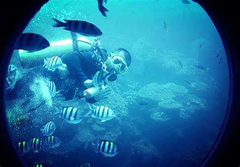 Odyssey Submarine Bali Underwater Experience Of Bali