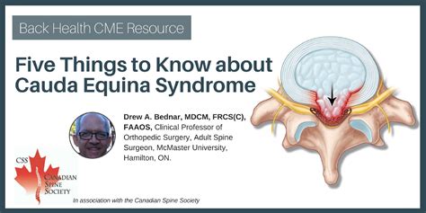 cauda equina syndrome | healthPlexus.net