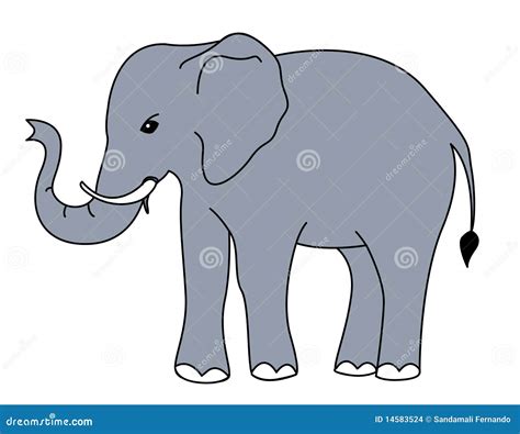 Elephant Vector Stock Vector Illustration Of Asia Colour 14583524