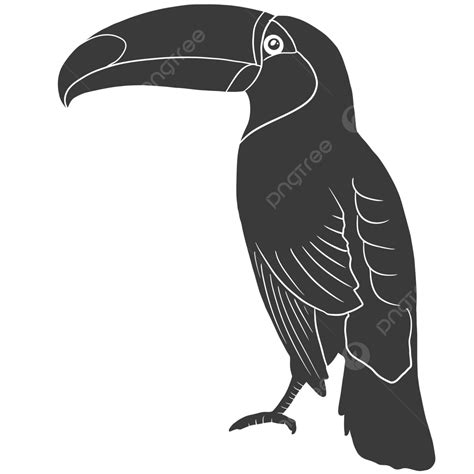 Toucan Bird Silhouette, Toucan, Big Bird, Hornbill PNG and Vector with ...