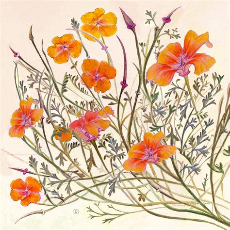 Wildflower Watercolor Paintings At PaintingValley Explore