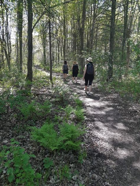 Rideau River Provincial Park Nature Trail Country Roads Trail