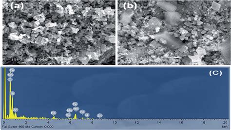 Sem Micrographs Of Mn 02 Ni 04 Zn 04 Fe 2 O 4 05 Bafe 12 O 19 Download Scientific