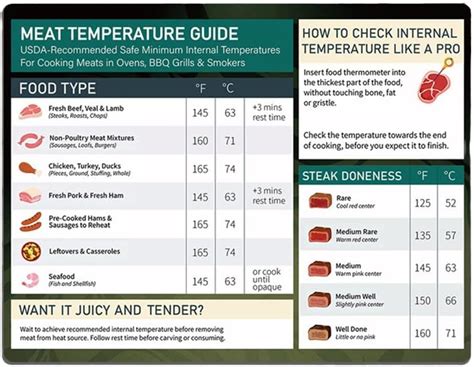 Amazon Meat Temperature Chart Magnet Chicken Turkey Beef Steak