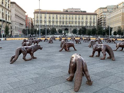 Il Racconto A Black Out I Lupi Di Liu Ruowang Hanno Vigilato Su