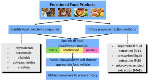 A Comprehensive Review On The Role Of Food Bioactive Compounds In