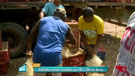 Produtores Vendem Galinhas A R No Es Durante Greve Dos Caminhoneiros