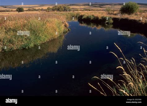 Donner und Blitzen River, Malheur National Wildlife Refuge, Oregon ...