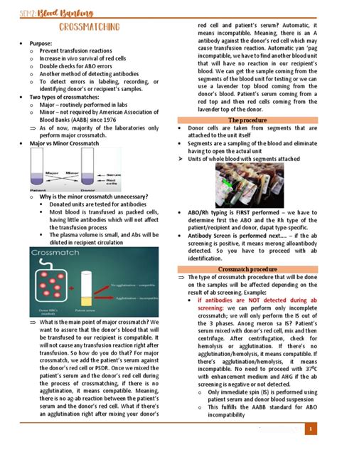 abo  reverse typing crossmatching  blood transfusion