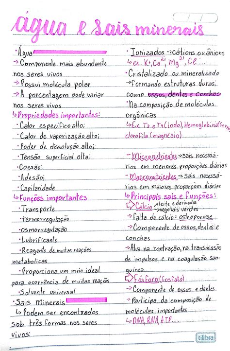 De Onde Os Vegetais Terrestres Retiram água E Sais Minerais