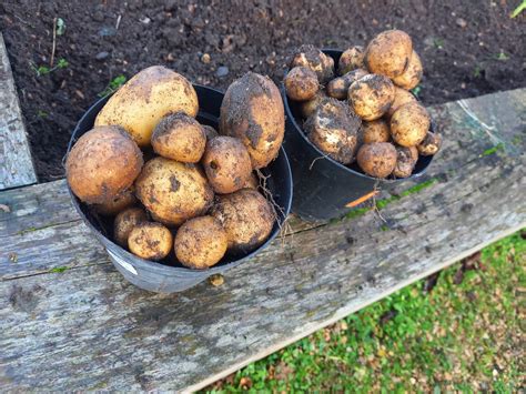 Massive expansion for Tesco Royston Herts approved by council 11